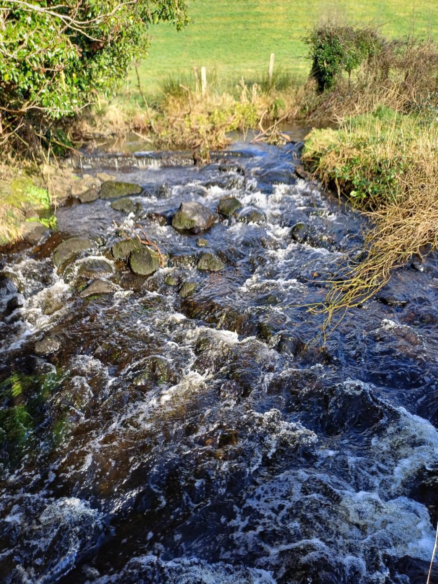 Little River Glamping بوليماني المظهر الخارجي الصورة